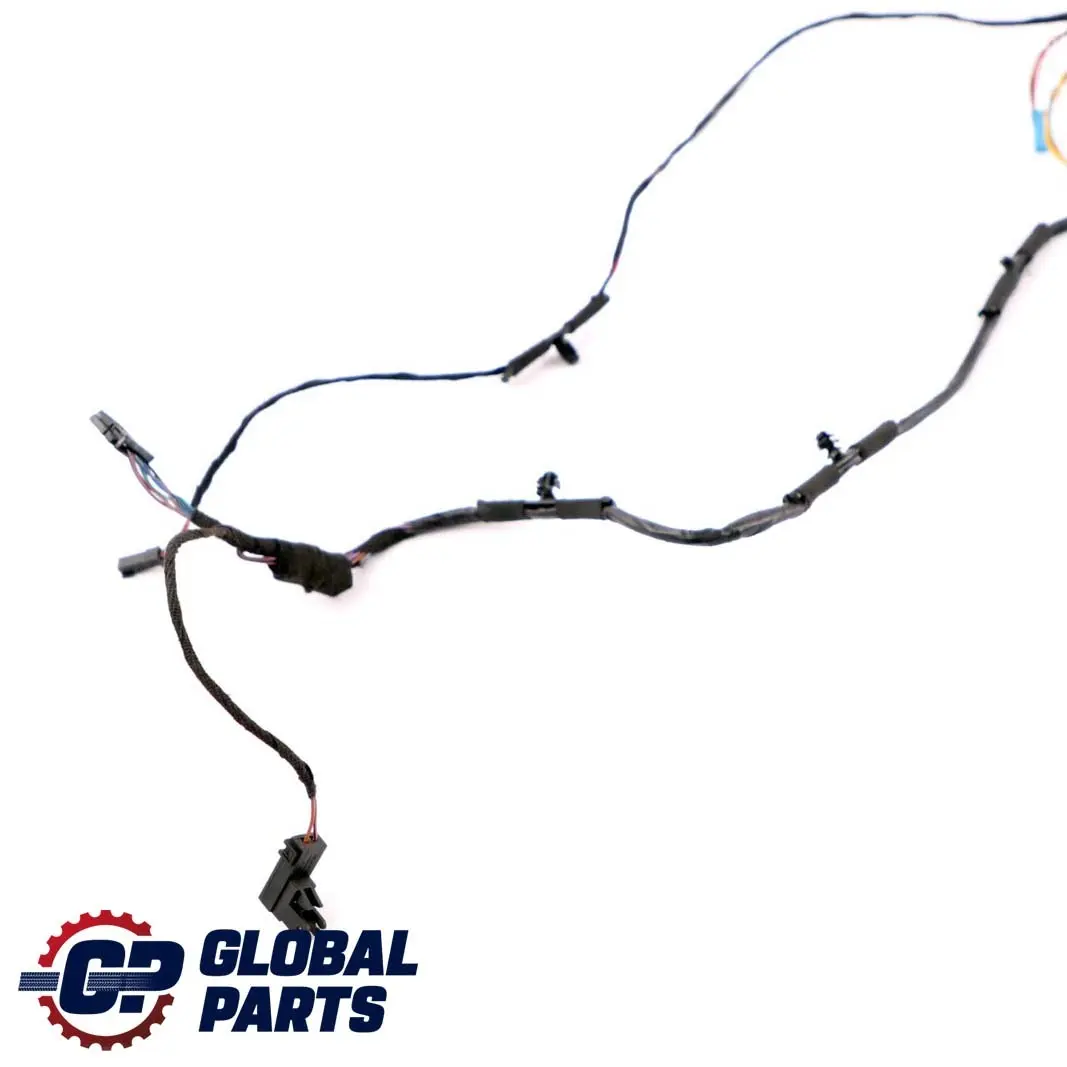 BMW X5 E70 Wiązka Instalacja Drzwi Prawy Przód - SKU 9207846 - Numer Części 9207846