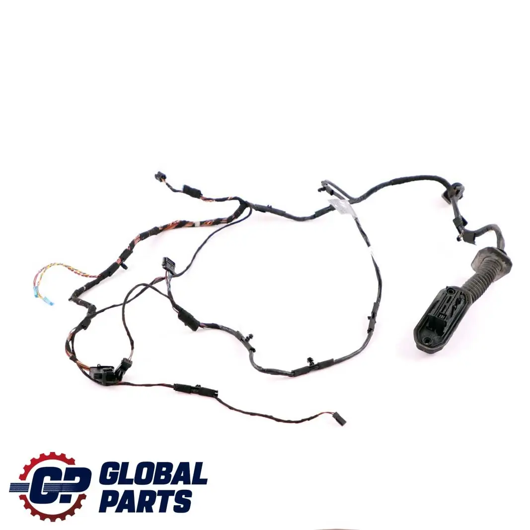 BMW X5 Serie E70 Lato conducente anteriore destro cablaggio cavo porta 9207841