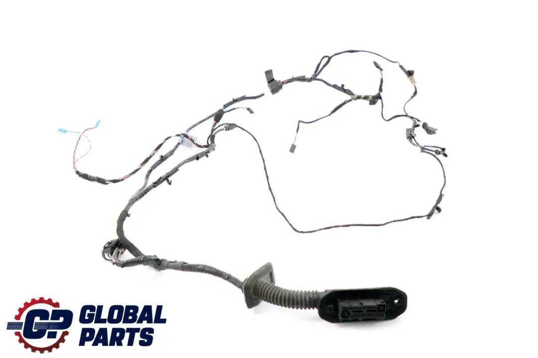 BMW X5 X6 er E70 E71 Kabelsatz Kabelbaum Kabel Tür Beifahrerseite 6900922 - SKU 9207852 - Teilenummer 9207852
