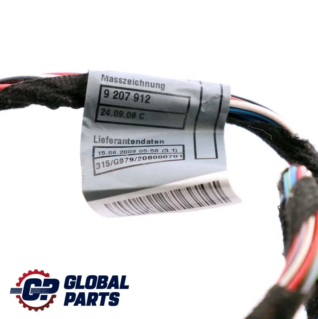 BMW Z4 E89 Vorne Links Fahrerseite Türkabelbaum Funktionsträger 9207915 - SKU 9214098 - Teilenummer 6950384