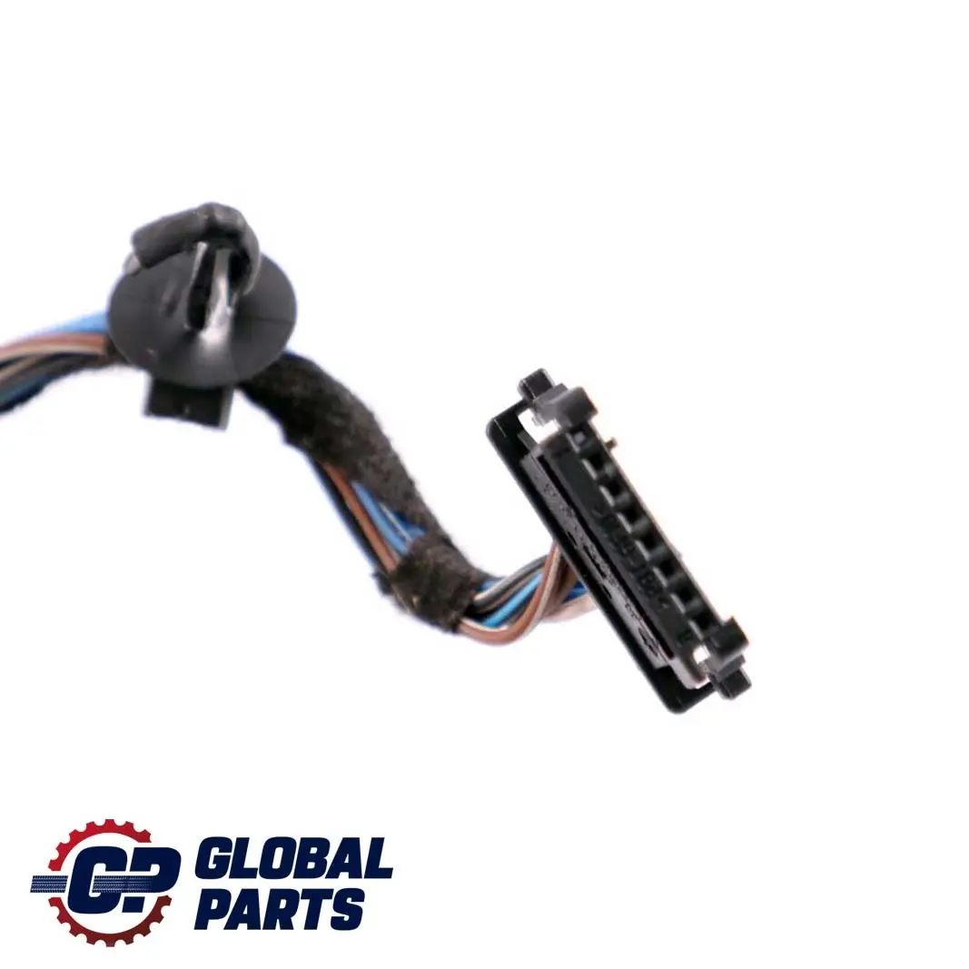 Driver's Side Door Wiring Harness Loom Module Carrier 9207915 to BMW Z4 E89 with Part number 6950384 BMW Z4 E89 Driver's Side Door Wiring Harness Loom Module Carrier 9207915 - SKU 9214098 - Part number 6950384