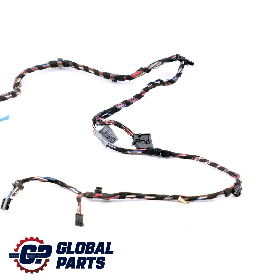 Vorne Links Fahrerseite Türkabelbaum Funktionsträger 9207915 für BMW Z4 E89 mit Teilenummer 6950384 BMW Z4 E89 Vorne Links Fahrerseite Türkabelbaum Funktionsträger 9207915 - SKU 9214098 - Teilenummer 6950384