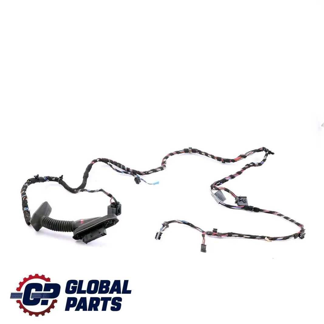 Vorne Links Fahrerseite Türkabelbaum Funktionsträger 9207915 für BMW Z4 E89 mit Teilenummer 6950384 BMW Z4 E89 Vorne Links Fahrerseite Türkabelbaum Funktionsträger 9207915 - SKU 9214098 - Teilenummer 6950384