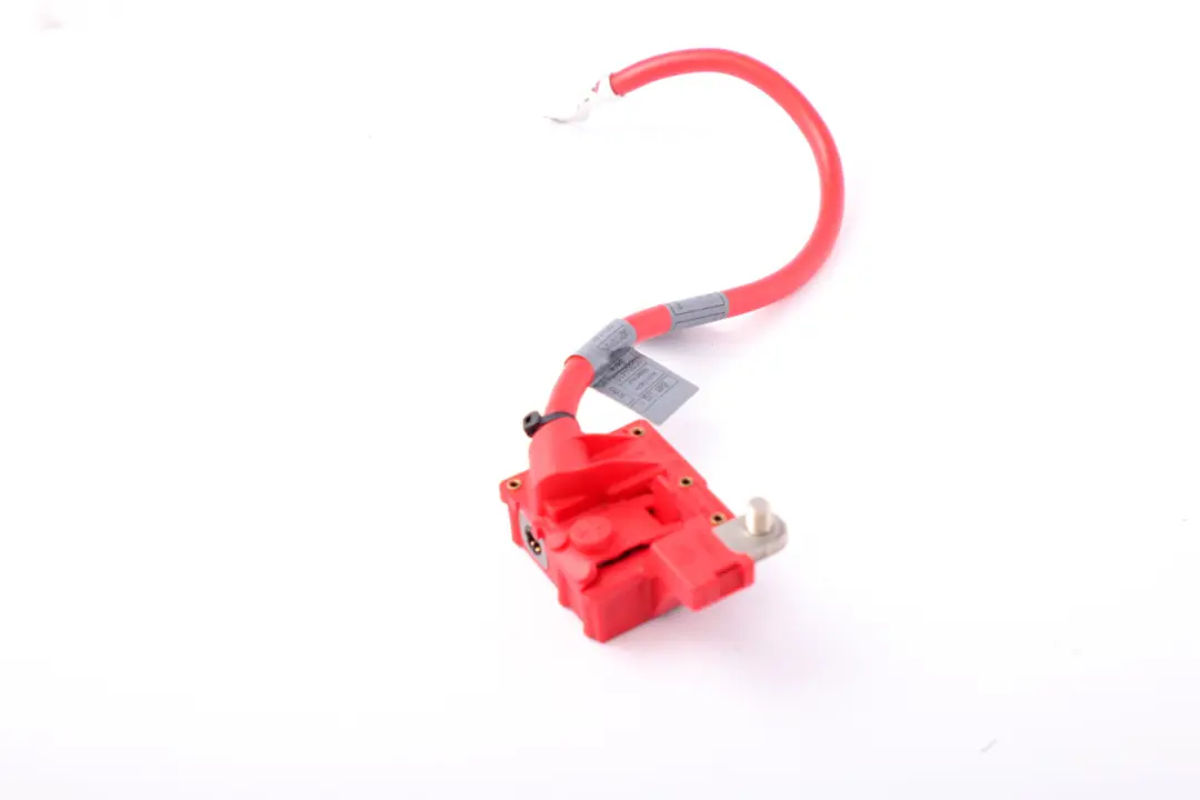 BMW E82 E84 E88 E90 E91 E92 LCI Cavo Batteria Più Polo - SKU 9217018 - Numero di parte 9217018