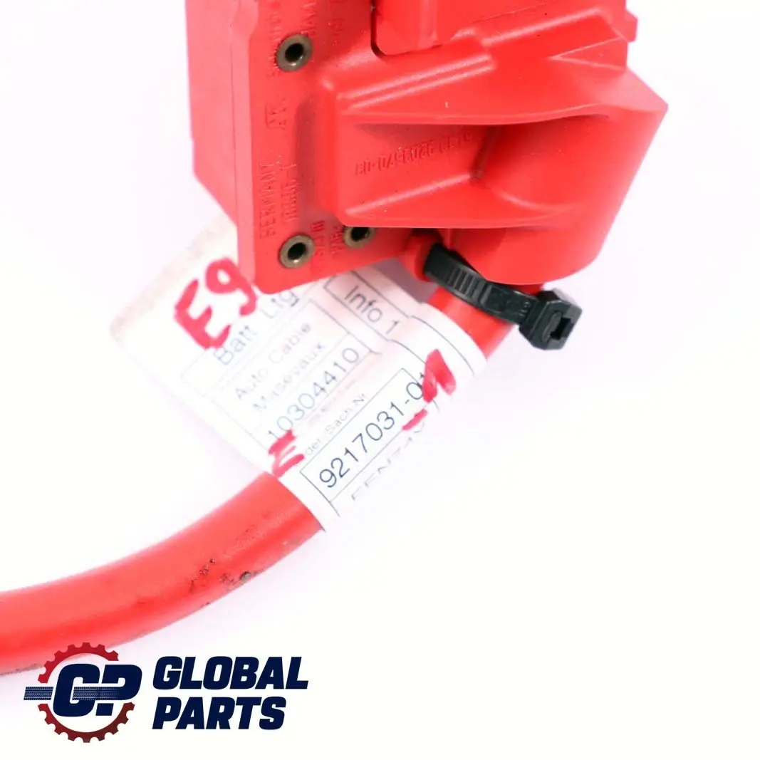 BMW X1 E82 E84 E88 E90 E91 E92 LCI Battery Cable Plus Pole - SKU 9217031-1 - Numéro de pièce 9217031