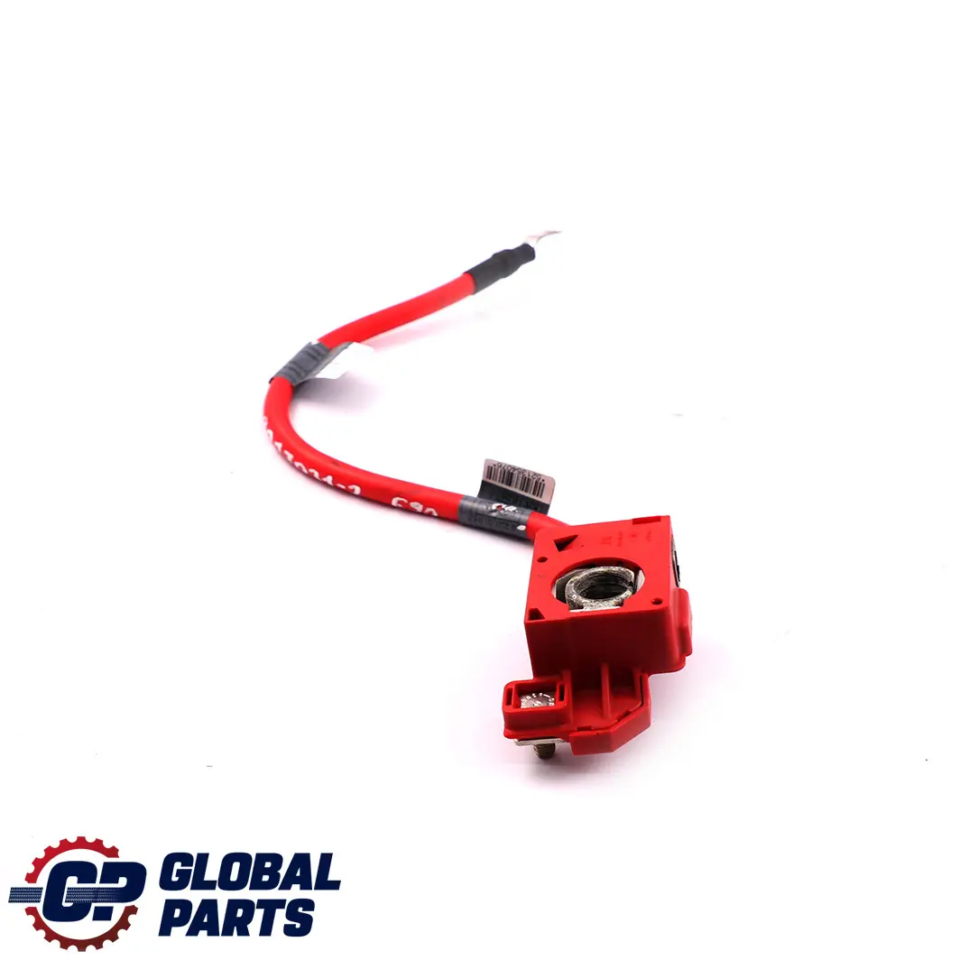 Klema Plusowa Pirotechniczna Plus 9207519 do BMW E90 o numerze 9217031 BMW E90 Klema Plusowa Pirotechniczna Plus 9207519 - SKU 9217031-2 - Numer Części 9217031