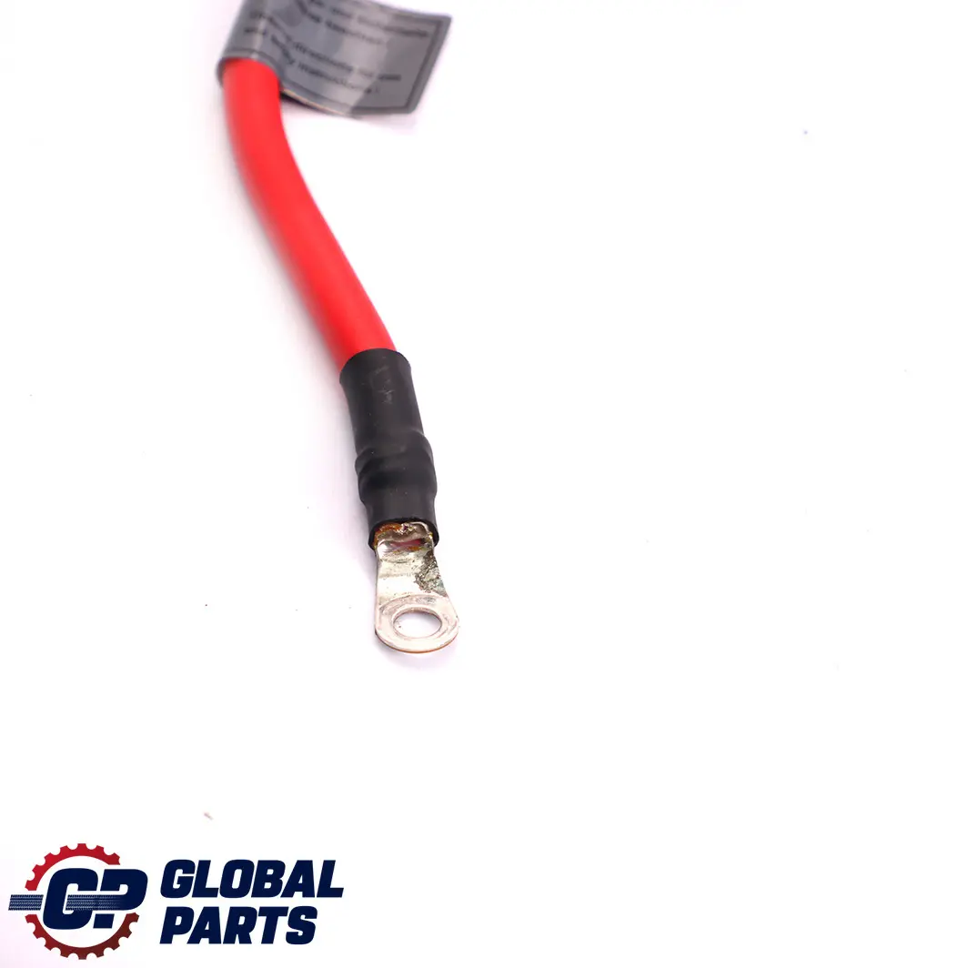BMW 1 3 X1 Series E82 E84 E88 E90 E91 E92 LCI Battery Cable Plus Pole 9207519 - SKU 9217031-2 - Part number 9217031