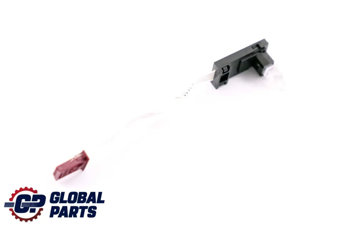 BMW Mini Cooper One R55 R56 R57 R59 Door Opener LED Light Module - SKU 9229026 - Part number 9229026