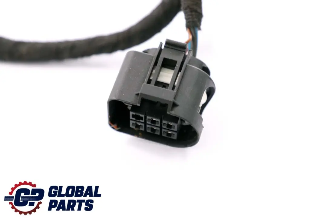 BMW X5 X6 Series E70 E71 Driver's Side Door Wiring Loom Cable Harness - SKU 9229757 - Part number 9229755