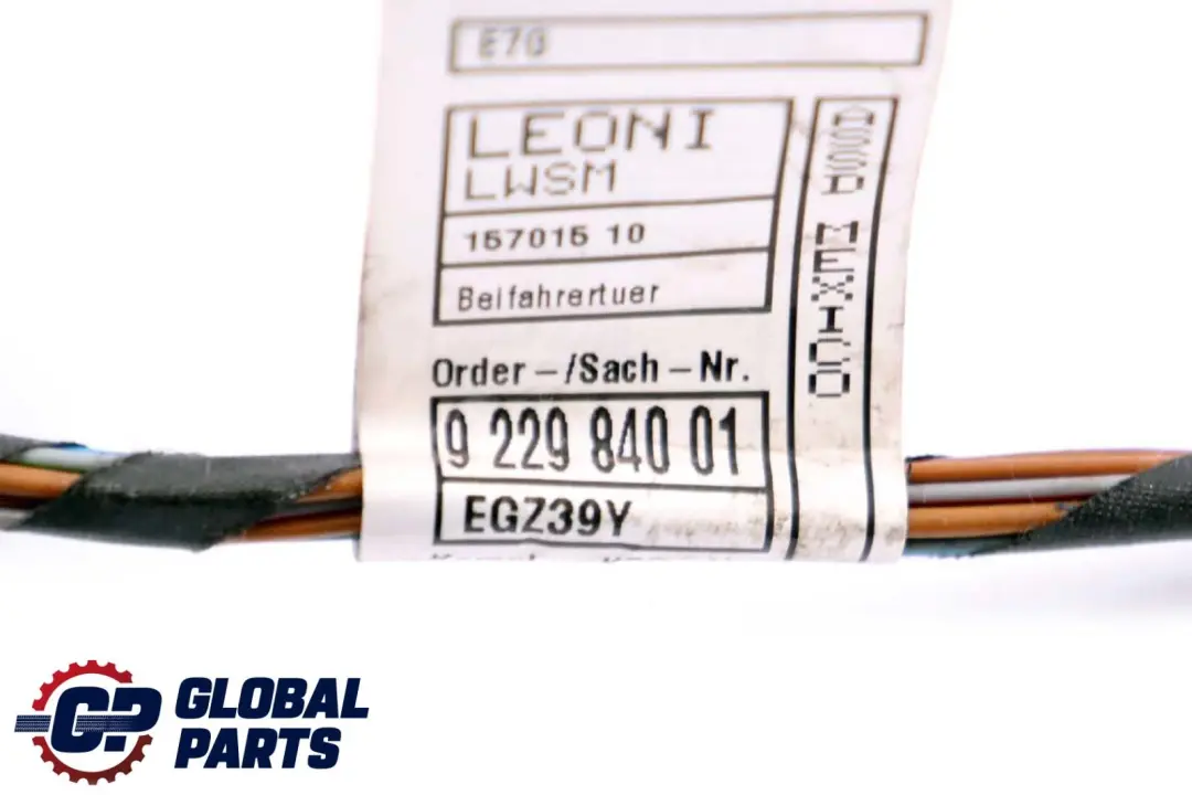 BMW X5 X6 E70 E71 Front Door Wiring Loom Harness Passenger Side - SKU 9229842 - Part number 9229840