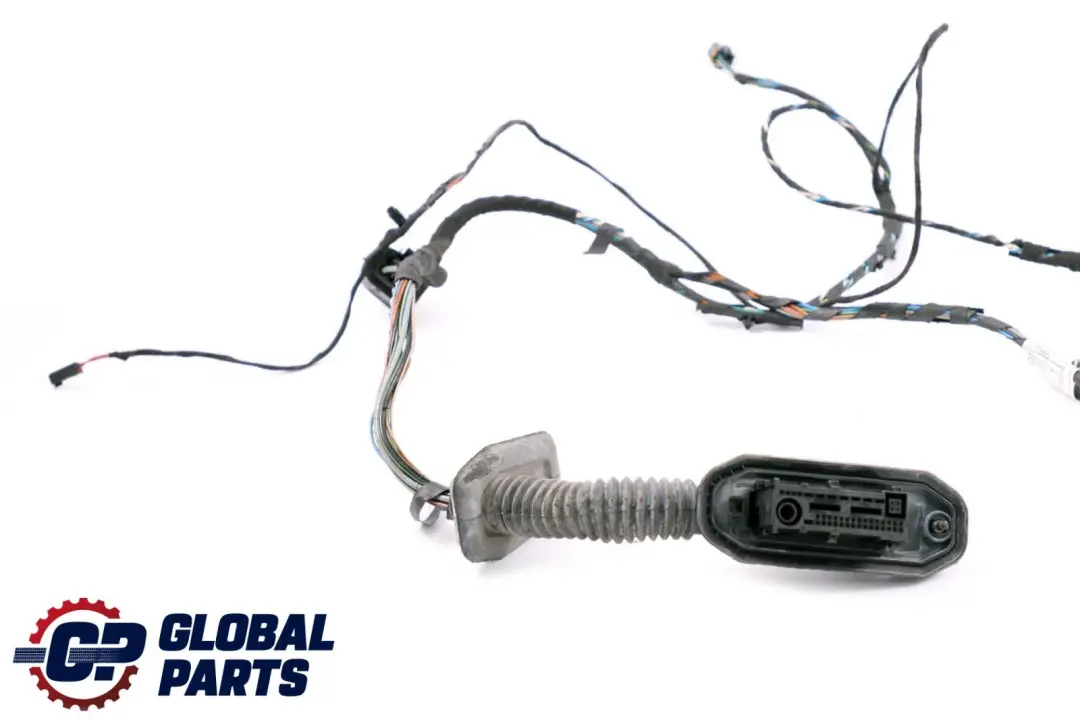 BMW X5 X6 E70 E71 Front Door Wiring Loom Harness Passenger Side - SKU 9229842 - Part number 9229840