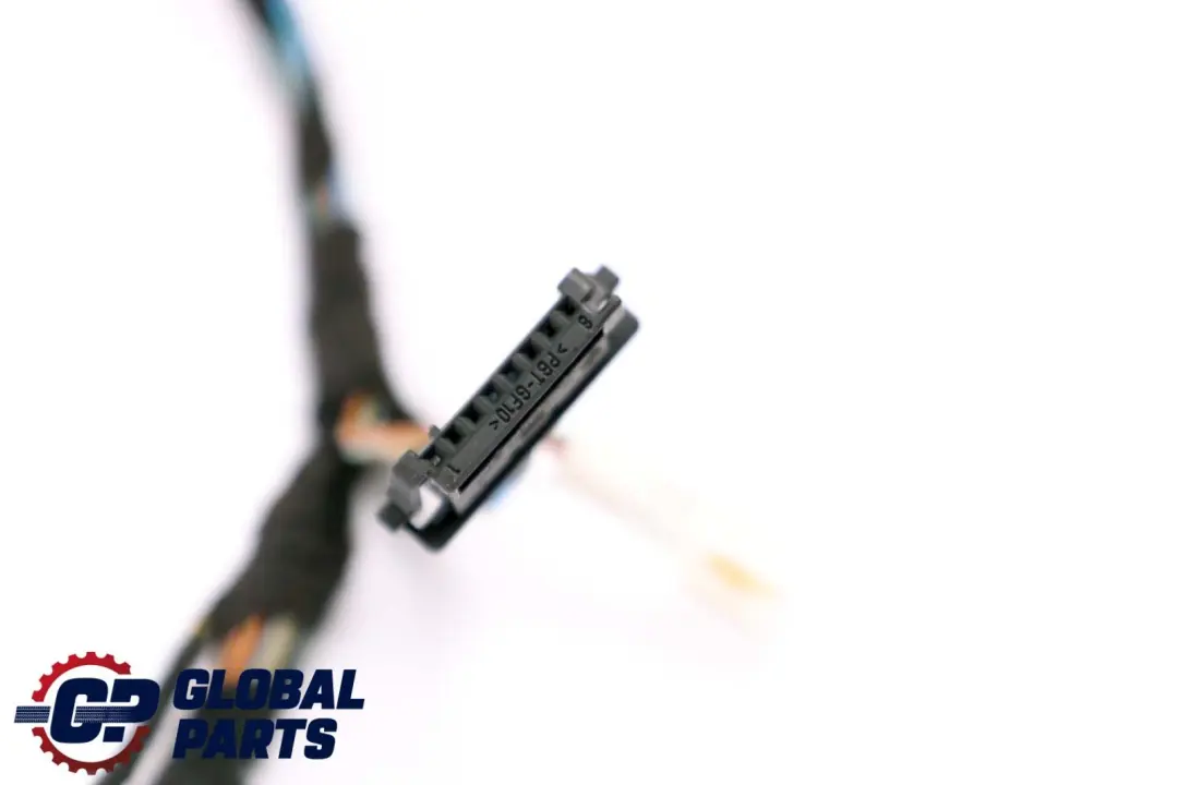 BMW X5 X6 E70 E71 Front Door Wiring Loom Harness Passenger Side - SKU 9229842 - Part number 9229840