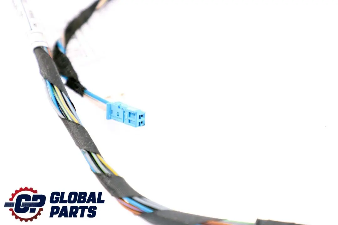 BMW X5 X6 E70 E71 Front Door Wiring Loom Harness Passenger Side - SKU 9229842 - Part number 9229840