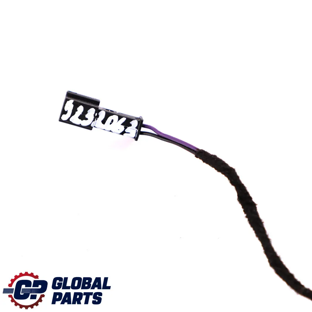 BMW F30 Steuermodul Sensor - SKU 9232063 - Teilenummer 9232063