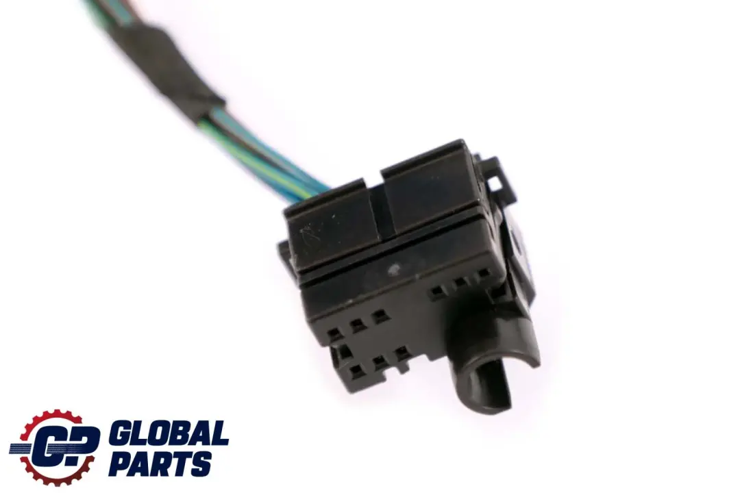 BMW F10 F11 Cable Loom Puerta Pasajero Lado Mazo De cables - SKU 9237085 - Número de pieza 9240882