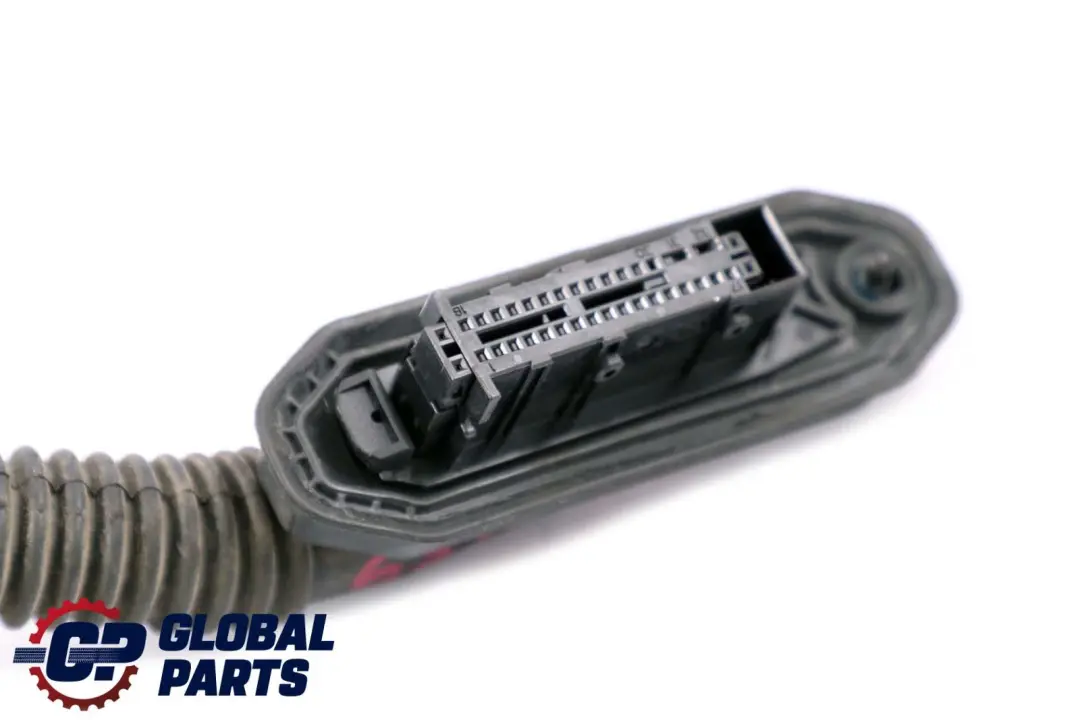 BMW X6 Serie E71 Cavo Loom Porta Posteriore Sinistra Destra Cablaggio - SKU 9243559 - Numero di parte 9243557