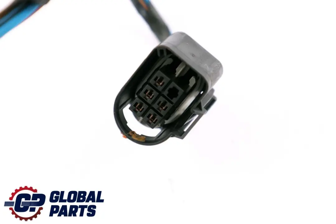 BMW X6 er E71 Kabelsatz Kabelbaum Kabel Tür Türe Hinten Rechts Links - SKU 9243559 - Teilenummer 9243557