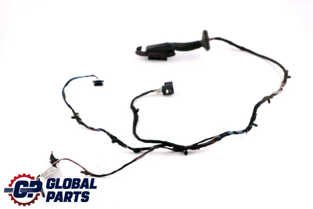 Kit Cavi Porta Posteriore Dx SX per BMW X1 E84 con numero di parte 9236736 BMW X1 E84 Kit Cavi Porta Posteriore Dx SX - SKU 9247092 - Numero di parte 9236736