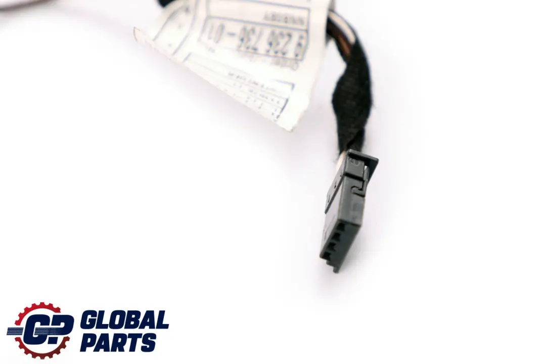 BMW X1 Series E84 Wiring Cable Loom Set Rear Door Right Left N/O/S - SKU 9247092 - Part number 9236736