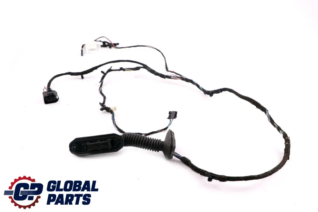 BMW X1 E84 Kit Cavi Porta Posteriore Dx SX - SKU 9247092 - Numero di parte 9236736