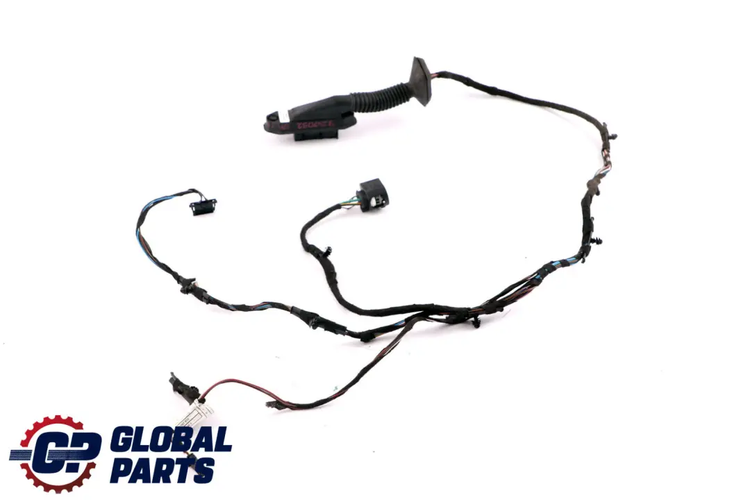 BMW X1 E84 Kit Cavi Porta Posteriore Dx SX - SKU 9247092 - Numero di parte 9236736