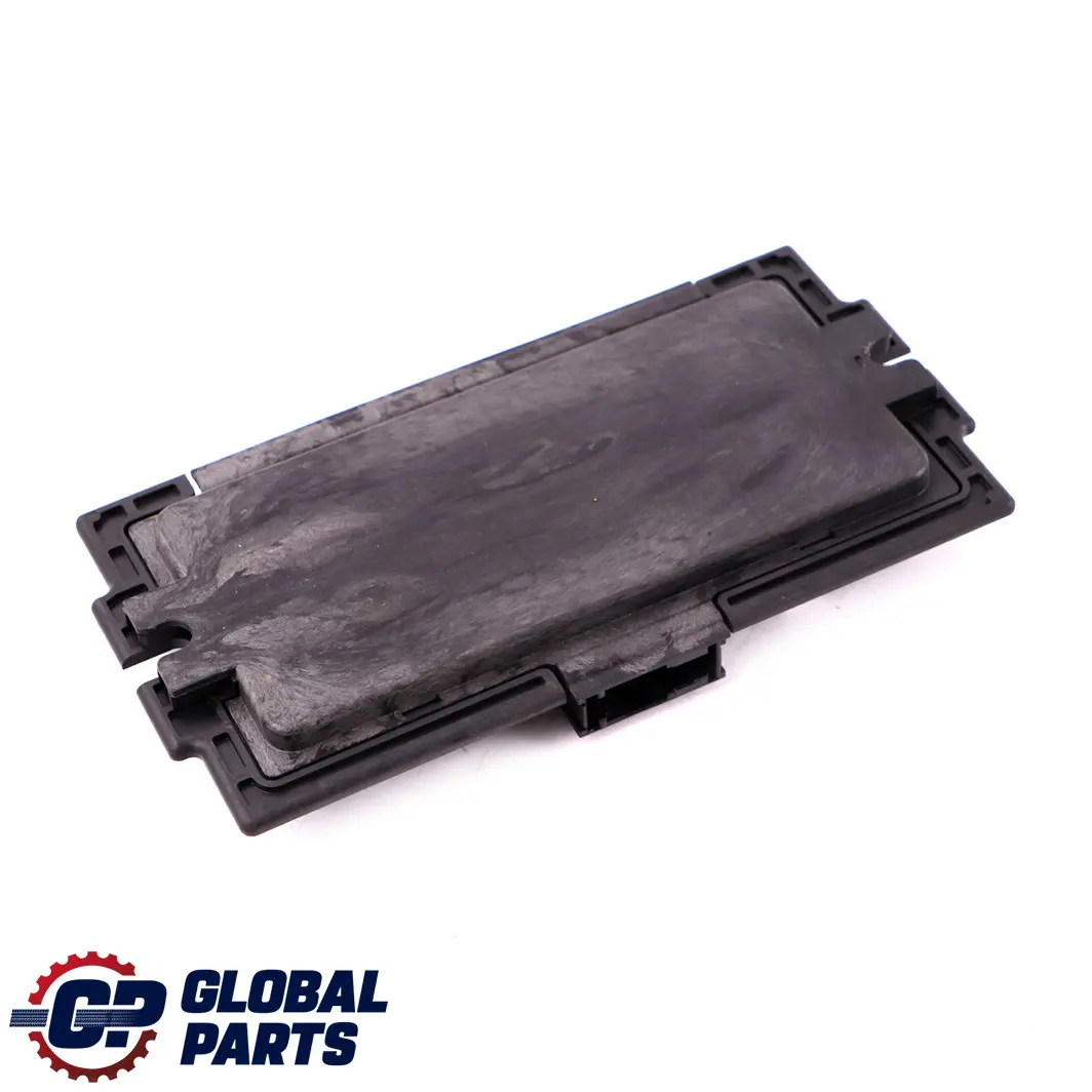 BMW E87 Fußraumbeleuchtung Steuermodul Lear FRM3R PL2 - SKU 9249080 - Teilenummer 9249080