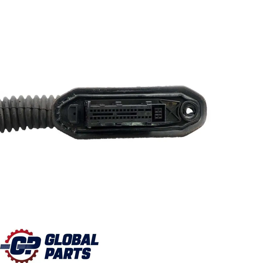 BMW E93 Cavi Lato Conducente Cablaggio Porta Cavo Portiera - SKU 9259817 - Numero di parte 9186658