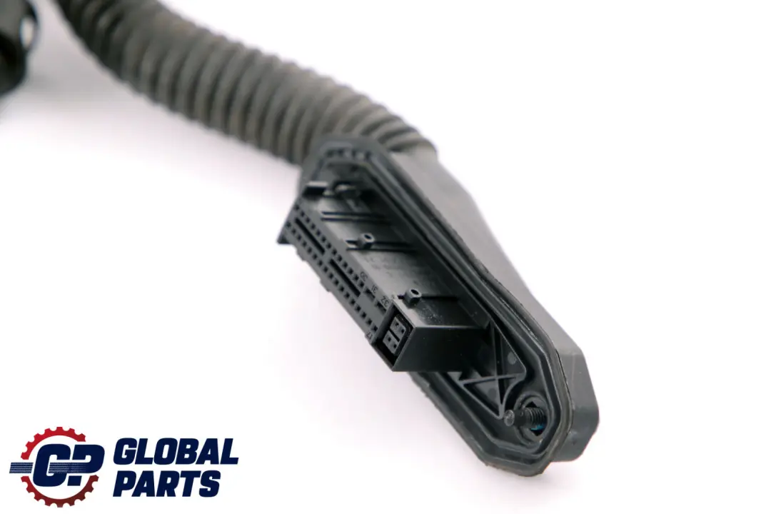 Kabelsatz Tür Beifahrerseite 6951775 für BMW 3 er E92 E92 LCI mit Teilenummer 9259823 BMW 3 er E92 E92 LCI Kabelsatz Tür Beifahrerseite 6951775 - SKU 9259823 - Teilenummer 9259823