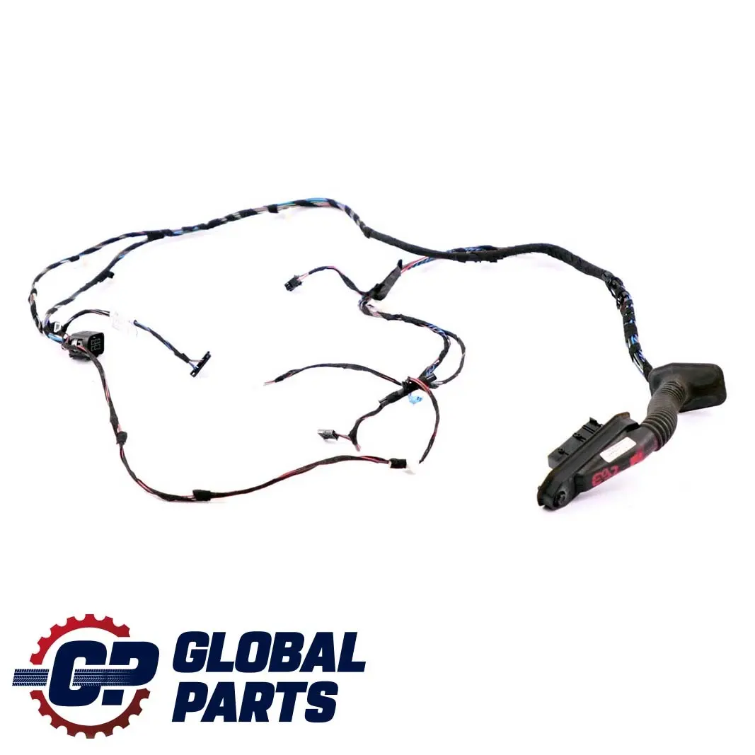 BMW E92 E92N LCI Mazo de Cables Puerta Delantera Izquierda - SKU 9259828 - Número de pieza 9259828