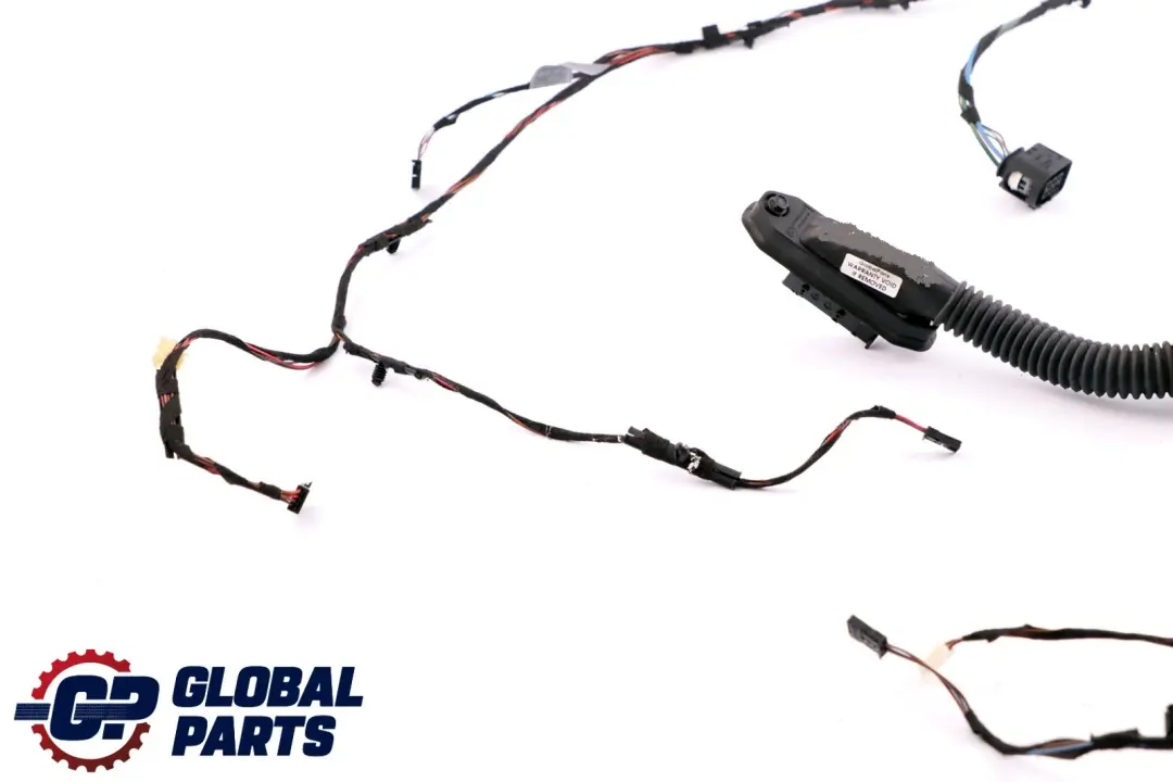 BMW E93 Cablaggio Porta Lato Passeggero Frontale - SKU 9259831 - Numero di parte 9186668