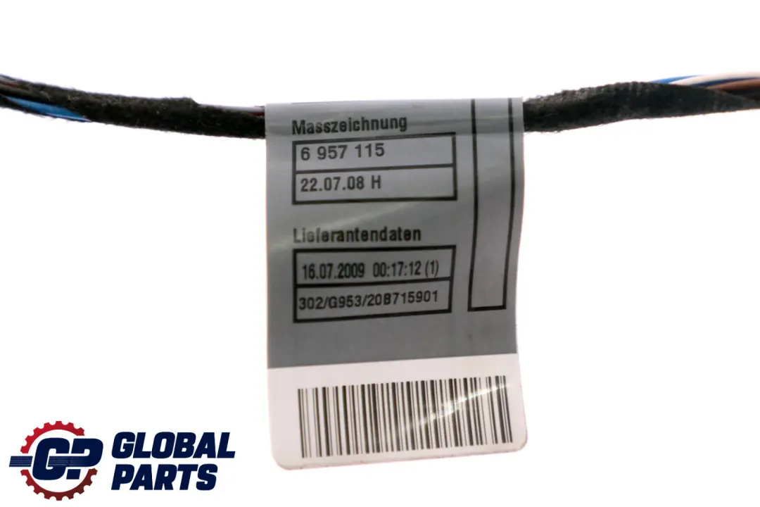 BMW E93 Cablaggio Porta Lato Passeggero Frontale - SKU 9259831 - Numero di parte 9186668