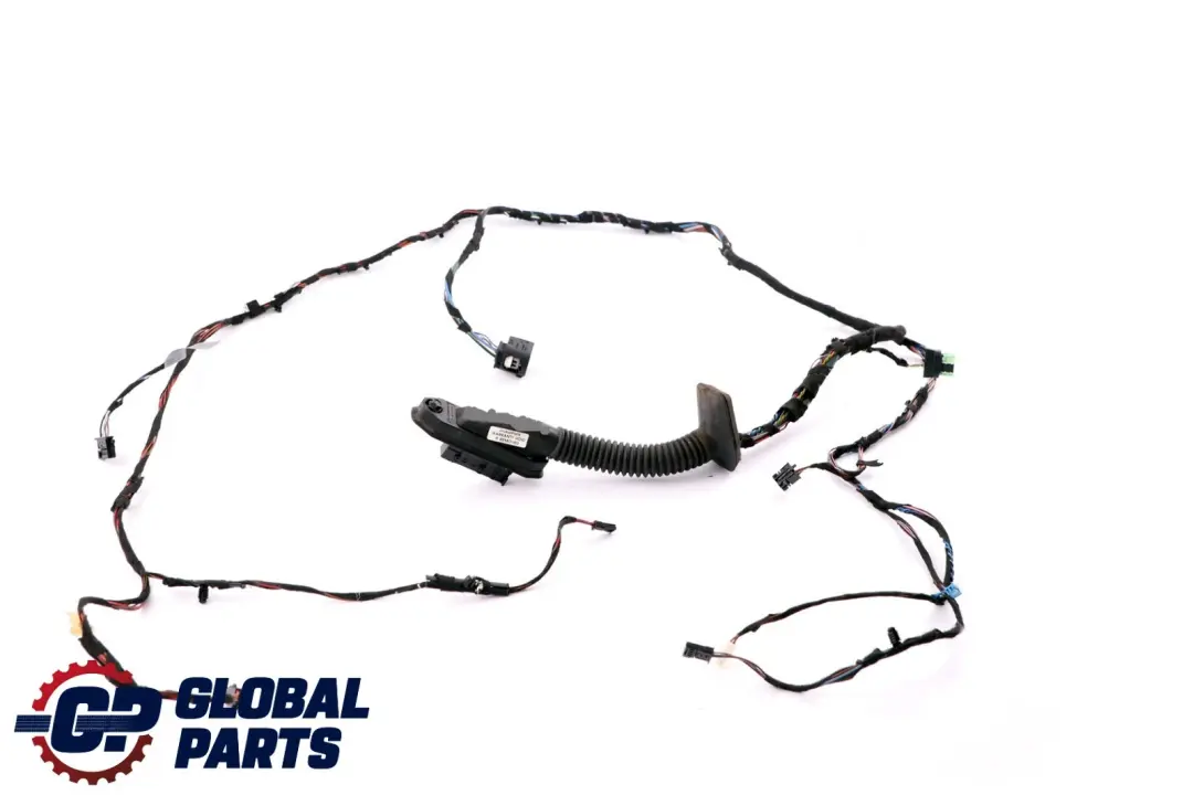 BMW E93 Cableado Cable De La puerta delantera del lado del pasajero - SKU 9259831 - Número de pieza 9186668