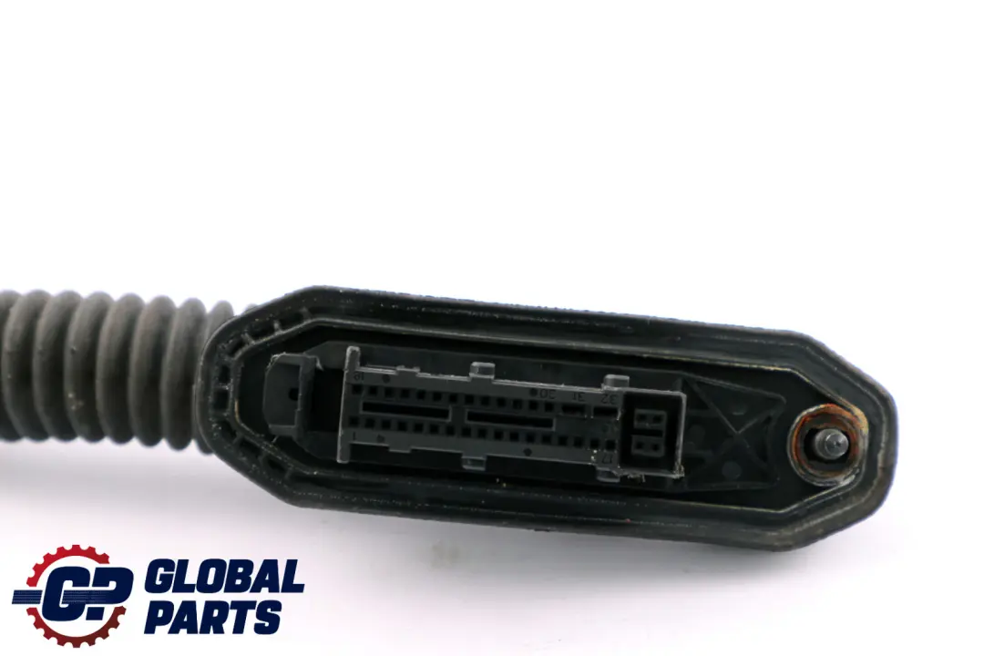 BMW 3 er E93 Türkabelbaum Beifahrerseite Vorne - SKU 9259831 - Teilenummer 9186668