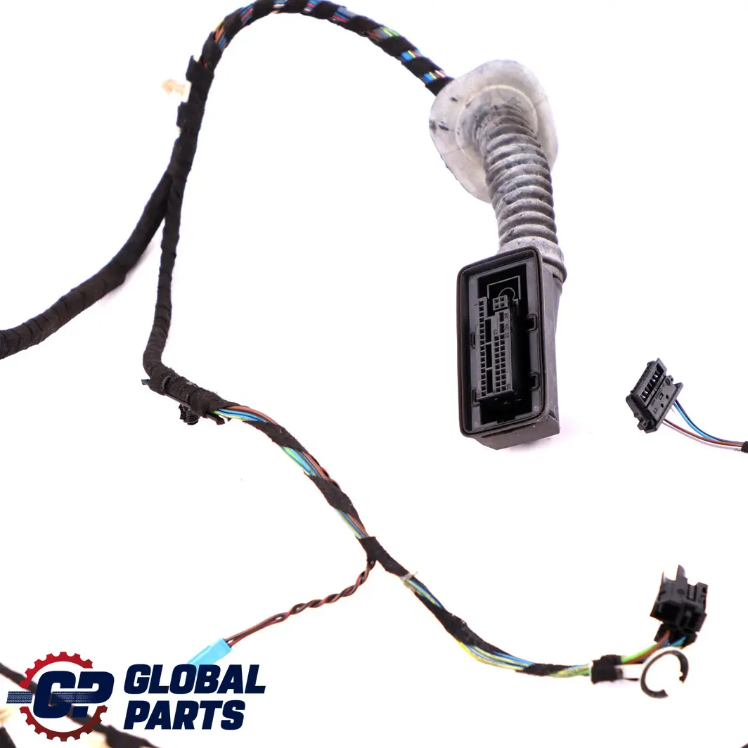 Cablaggio Porta Lato Conducente per BMW F30 F31 con numero di parte 9259983 BMW F30 F31 Cablaggio Porta Lato Conducente - SKU 9259983 - Numero di parte 9259983