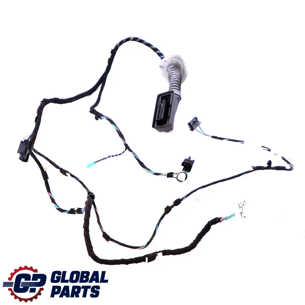BMW F30 F31 Arnés Cableado Puerta Lado Conductor - SKU 9259983 - Número de pieza 9259983