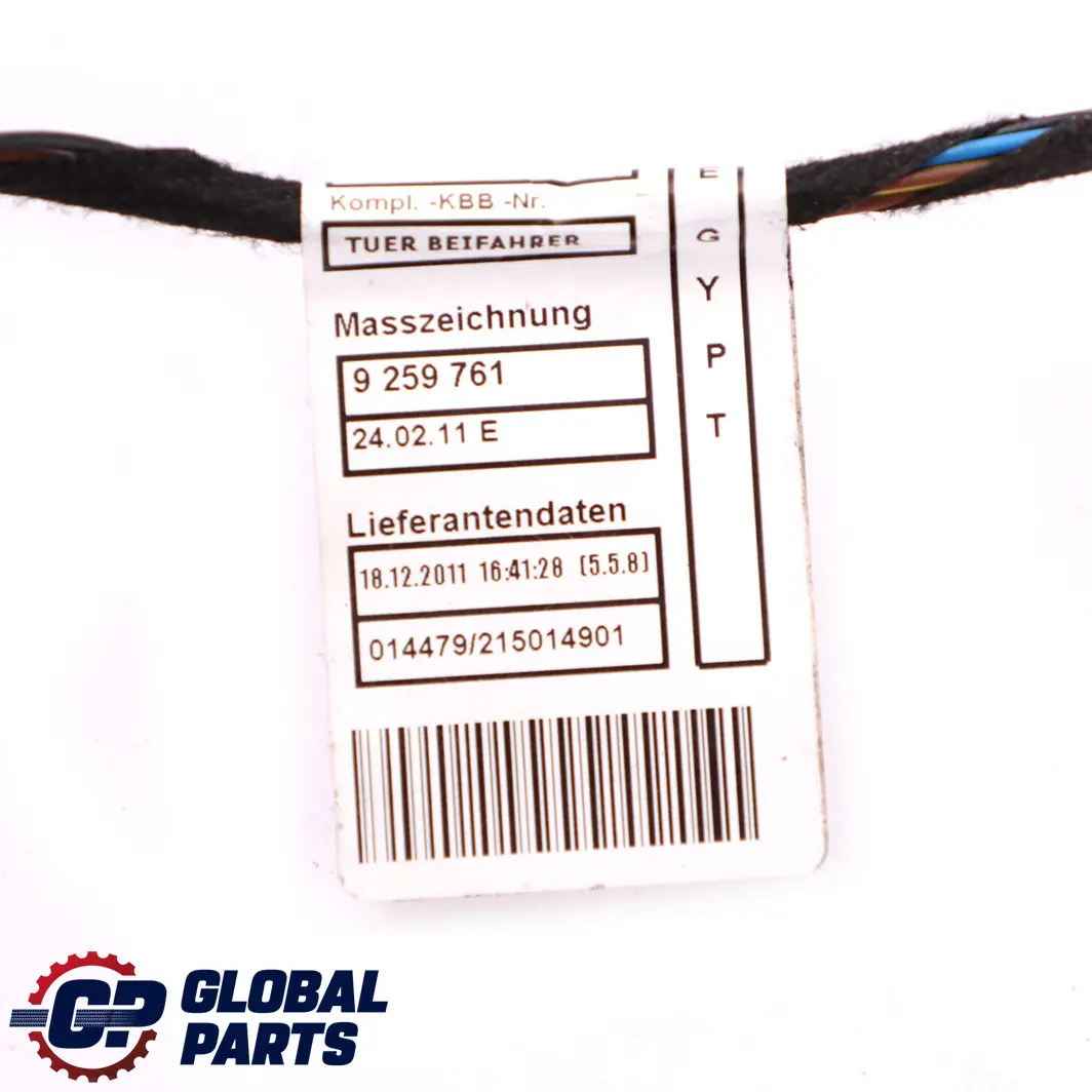 BMW 3 Series F30 Driver Side Front Right O/S Door Cable Harness Wiring - SKU 9260003 - Part number 9260003