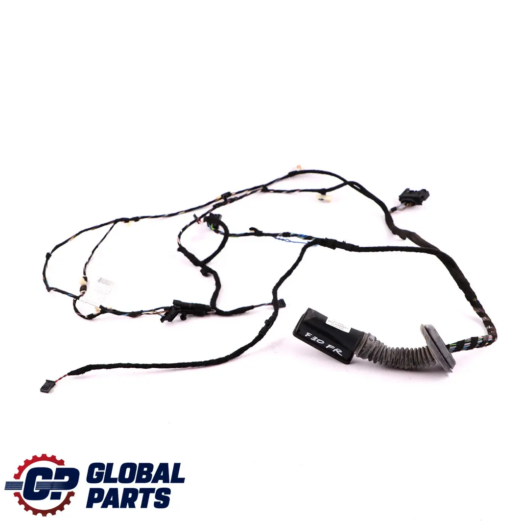 BMW 3 Series F30 Driver Side Front Right O/S Door Cable Harness Wiring - SKU 9260003 - Part number 9260003