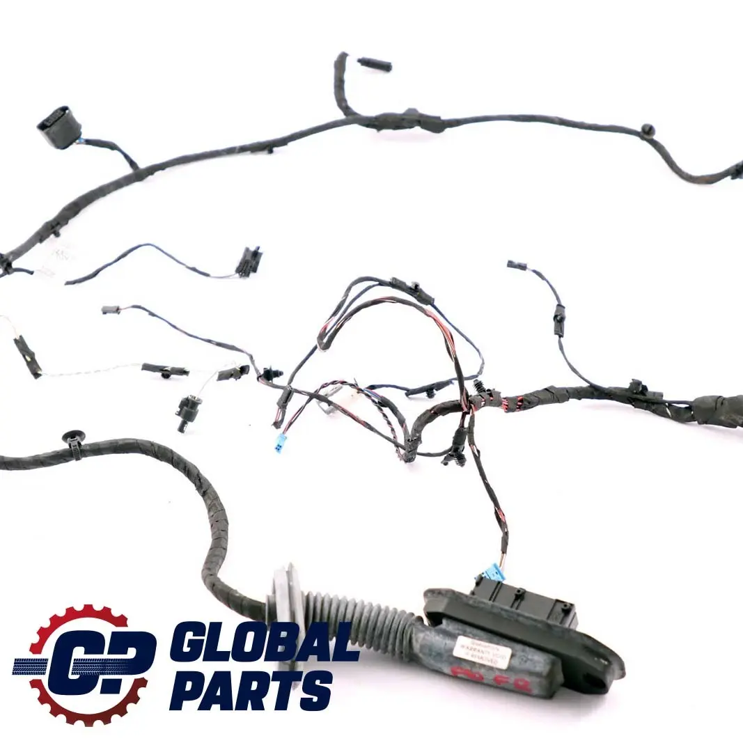 Cable Loom Front Driver's Door Wiring Harness 9255986 to BMW 5 Series F10 F11 with Part number 8379726 BMW 5 Series F10 F11 Cable Loom Front Driver's Door Wiring Harness 9255986 - SKU 9282069 - Part number 8379726