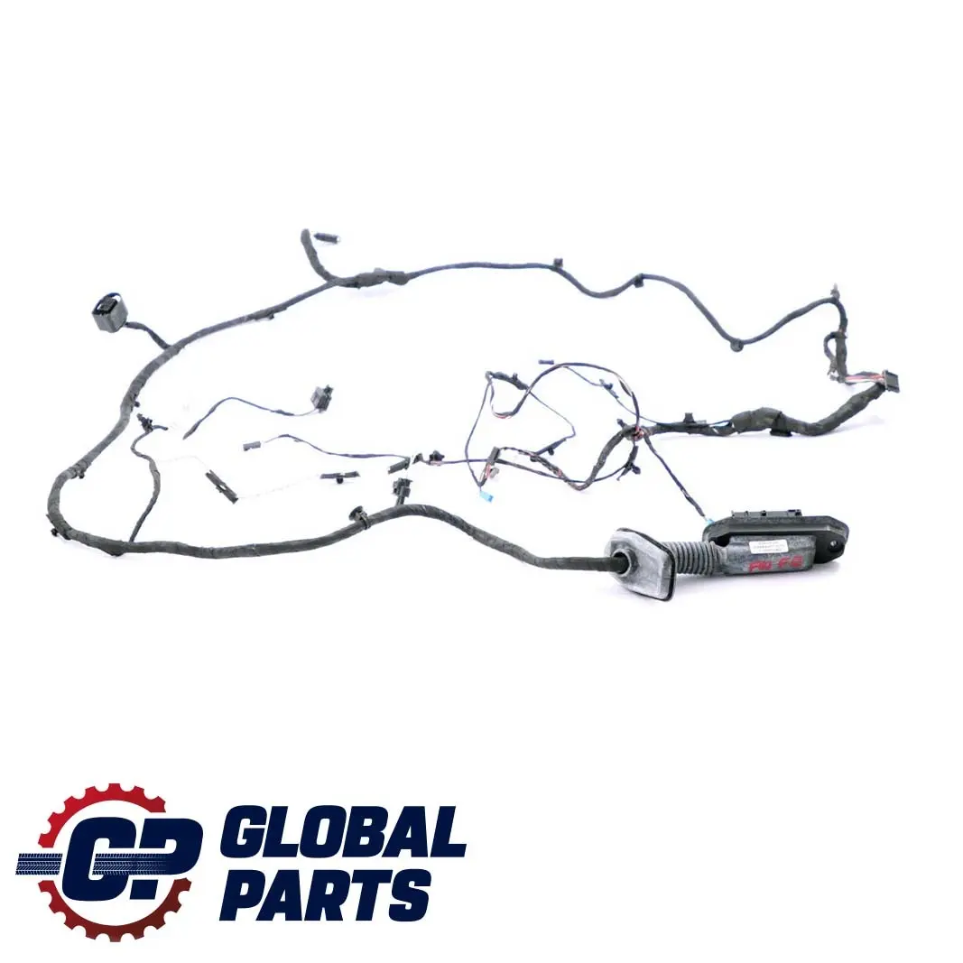 BMW F10 F11 Cable Loom Arnés cableado puerta conductor delantero 9255986 - SKU 9282069 - Número de pieza 8379726