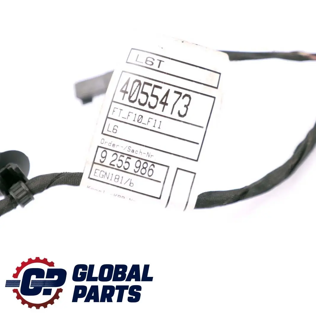 BMW F10 F11 Cable Loom Arnés cableado puerta conductor delantero 9255986 - SKU 9282069 - Número de pieza 8379726