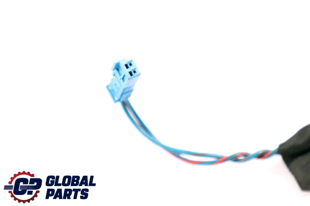 BMW F10 F11 Cable Loom Puerta Pasajero Lado Mazo De cables 9256002 - SKU 9282072 - Número de pieza 9282072