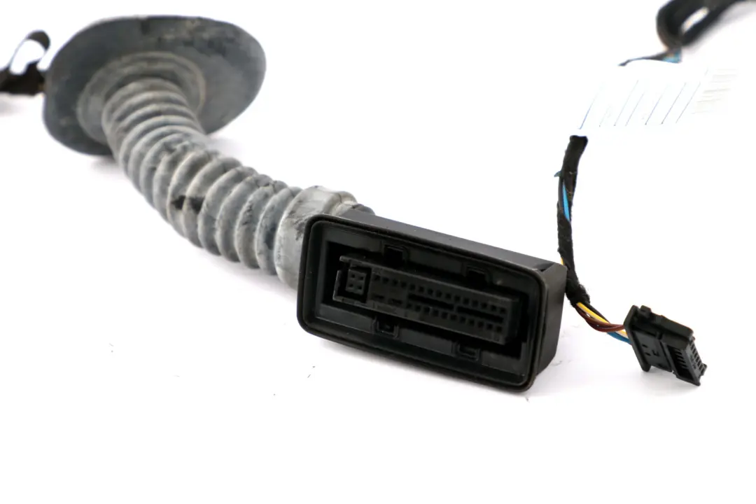 Trasero Izquierdo Derecho N/ Cableado Mazo Puerta Loom N/ para BMW F20 con número de pieza 9251724 BMW F20 Trasero Izquierdo Derecho N/ Cableado Mazo Puerta Loom N/ - SKU 9286186 - Número de pieza 9251724