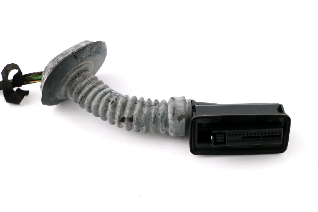 BMW 1 er F20 F20N LCI Kabelsatz Tür Hinten - SKU 9286186 - Teilenummer 9251724