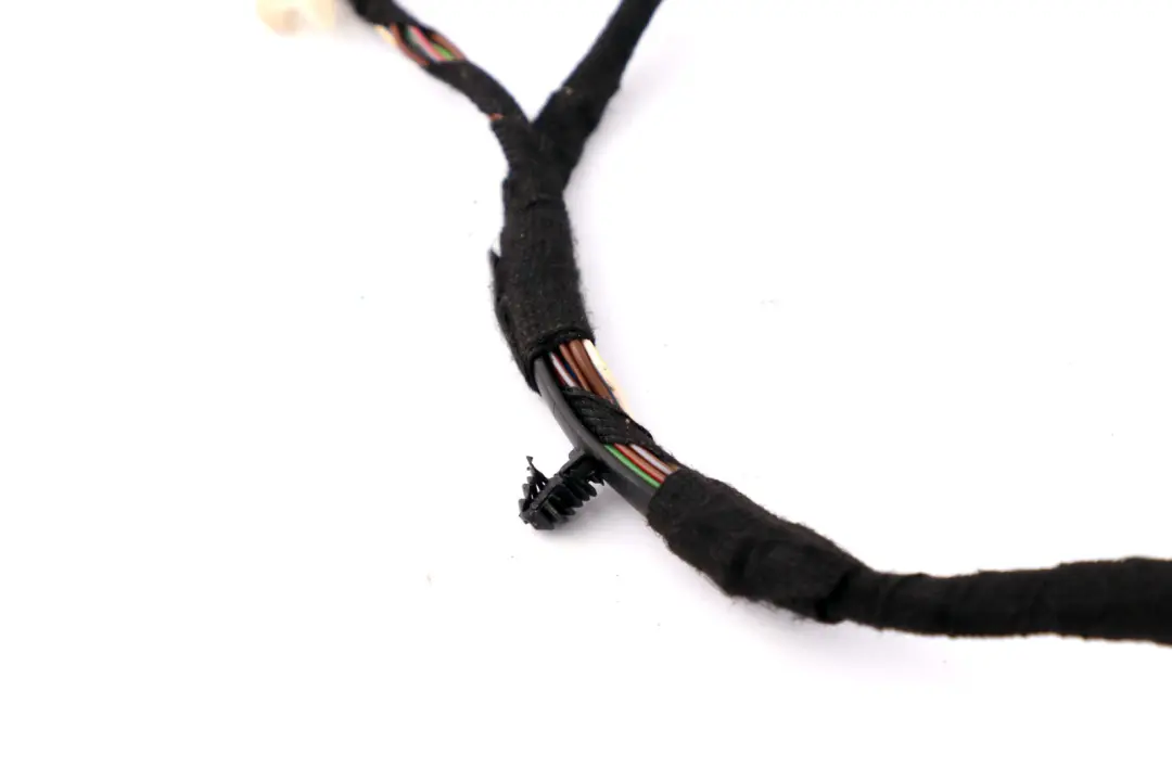 BMW F20 Cablage de porte arriere gauche droite faisceau de cables - SKU 9286186 - Numéro de pièce 9251724