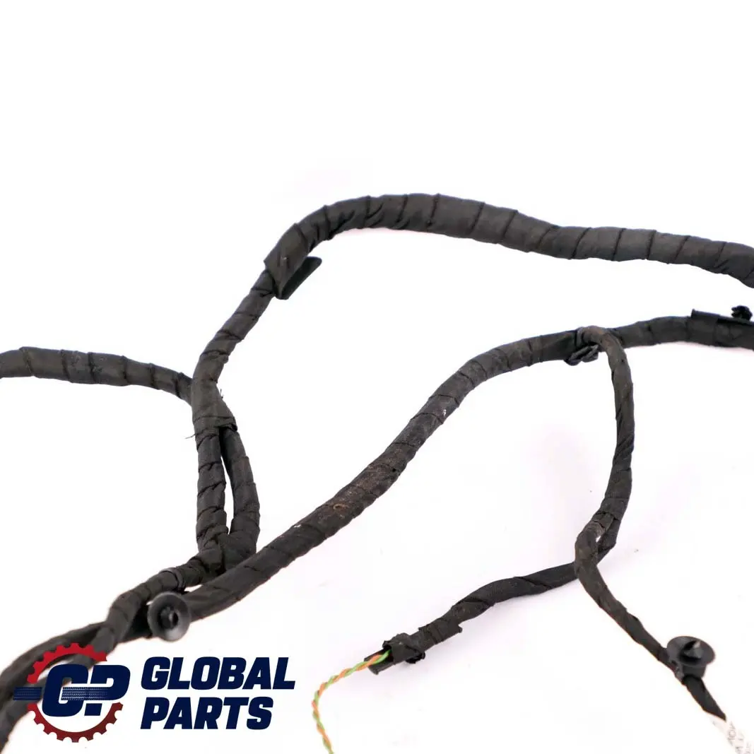 BMW 5 Series F10 F11 LCI Cable Harness Loom Front Door Wiring - SKU 9291048 - Part number 9291048