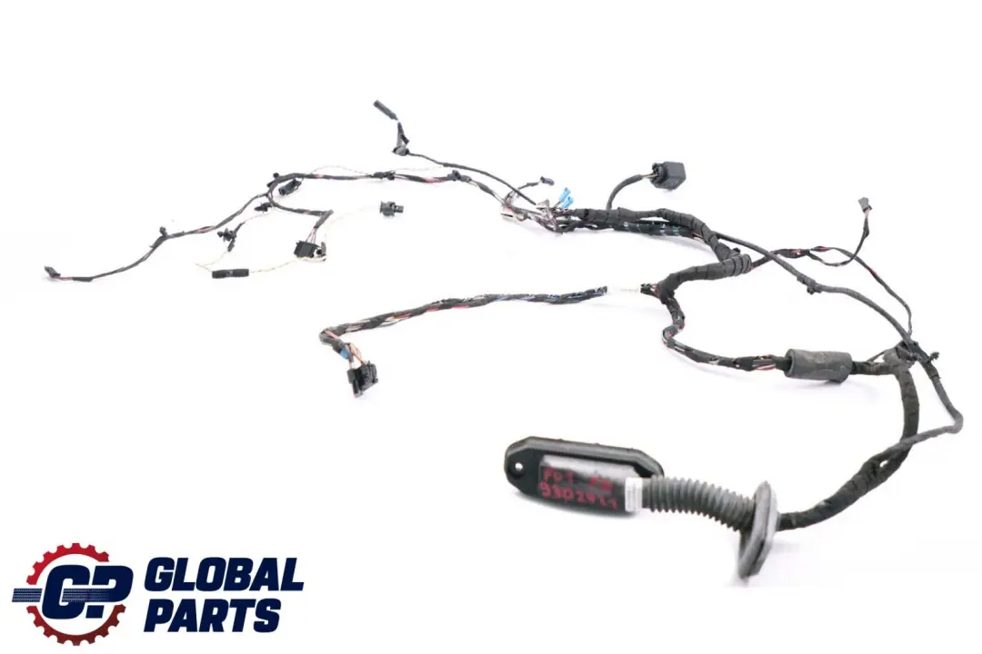 Cable Loom Puerta Lado Conductor Mazo de Cables para BMW F01 F02 LCI con número de pieza 9262859 BMW F01 F02 LCI Cable Loom Puerta Lado Conductor Mazo de Cables - SKU 9302931 - Número de pieza 9262859