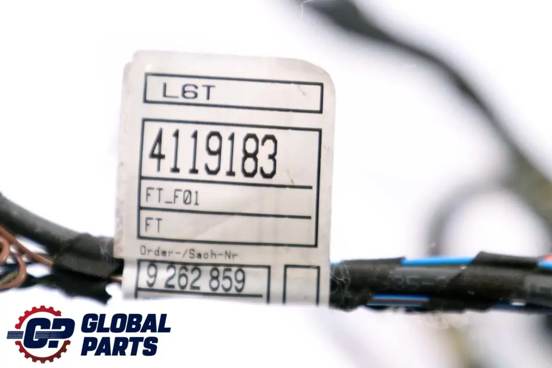 BMW F01 F02 LCI Faisceau de Cables Cote Conducteur - SKU 9302931 - Numéro de pièce 9262859