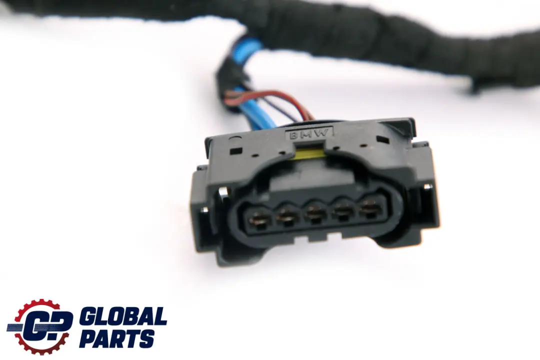 Kit Cavi Cablaggio Porta Lato Conducente Frontale per BMW F30 F31 con numero di parte 9313619 BMW F30 F31 Kit Cavi Cablaggio Porta Lato Conducente Frontale - SKU 9313619 - Numero di parte 9313619