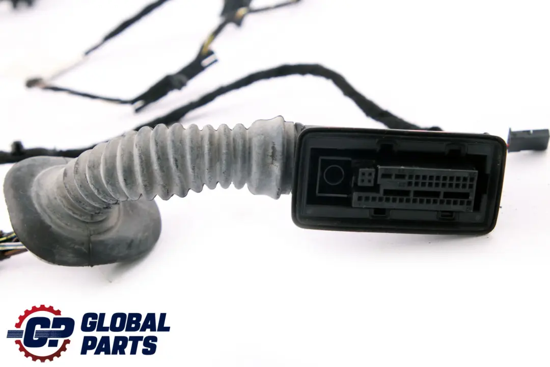 BMW F30 F31 Cable Mazo Puerta Lado Conductor Cableado Delantero - SKU 9313619 - Número de pieza 9313619