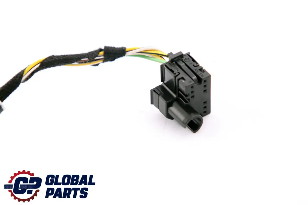BMW F30 F31 Cable Mazo Puerta Lado Conductor Cableado Delantero - SKU 9313619 - Número de pieza 9313619